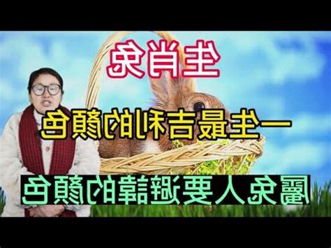 屬兔 命名
